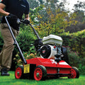 Camon LS14 Lawn Scarifier
