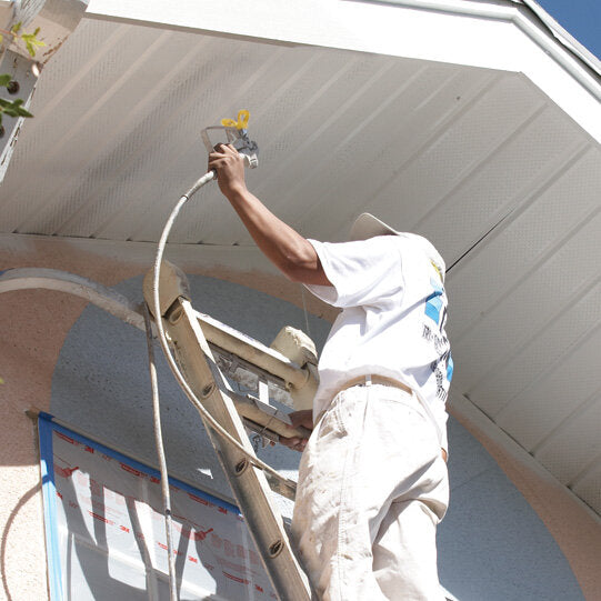 Paint Sprayer